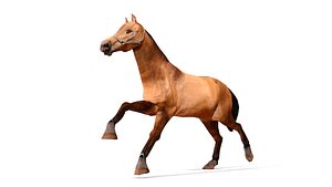 3D realistic horse modeled animation model