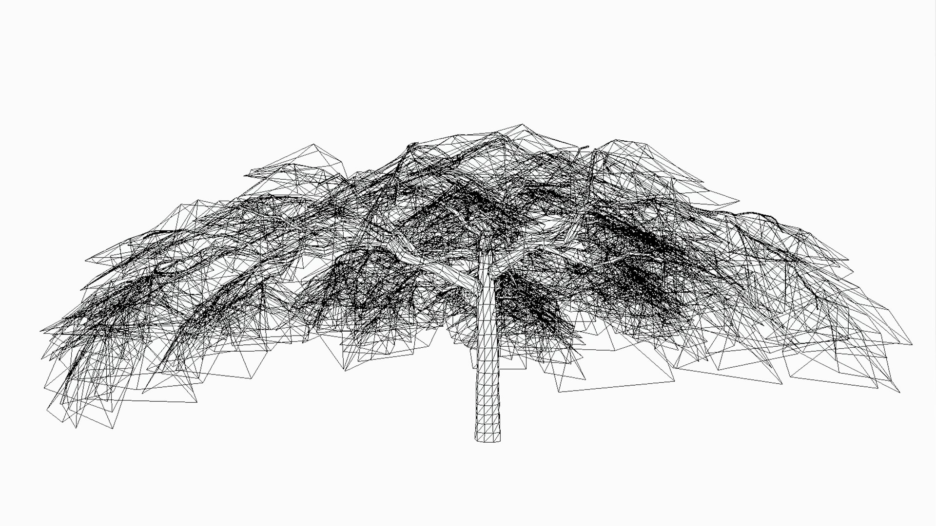 Acacia Tree-S21 model https://p.turbosquid.com/ts-thumb/ST/cGjkrl/hC/s7/jpg/1742231620/1920x1080/fit_q87/5a9ada3e9aa2641e2868e9362191d8ee7b63abfe/s7.jpg