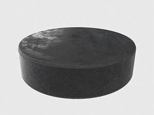 Hockey Puck