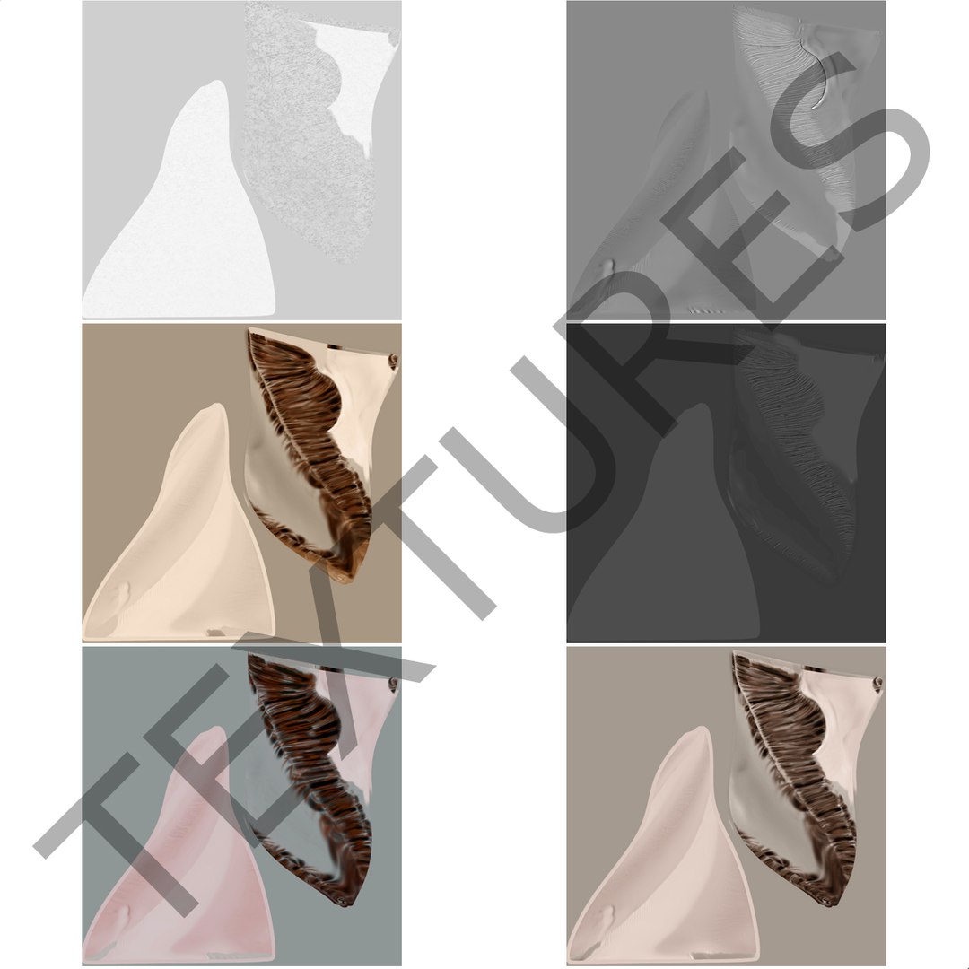 3d marginata shell model https://p.turbosquid.com/ts-thumb/SU/27rU0R/1LCrQYPT/3dmodelofmarginatashell17/jpg/1447067245/1920x1080/fit_q87/a3b5c675455daeabd8066c0d09f6804e518f2301/3dmodelofmarginatashell17.jpg