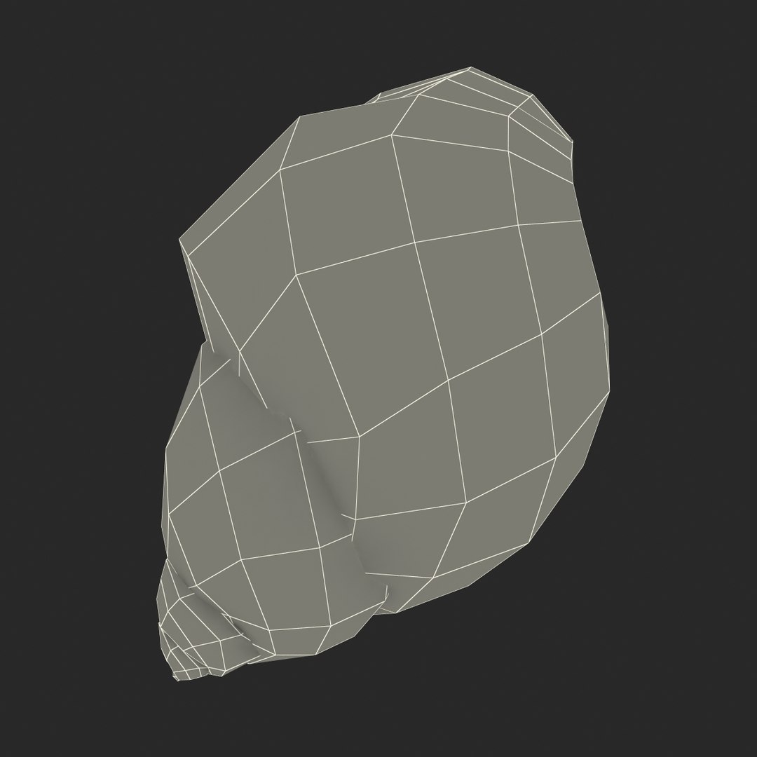 3d marginata shell model https://p.turbosquid.com/ts-thumb/SU/27rU0R/Tkd6duZf/3dmodelofmarginatashell23/jpg/1447067246/1920x1080/fit_q87/13e413d4ca2e3d64cababf8ba353941e63768d73/3dmodelofmarginatashell23.jpg