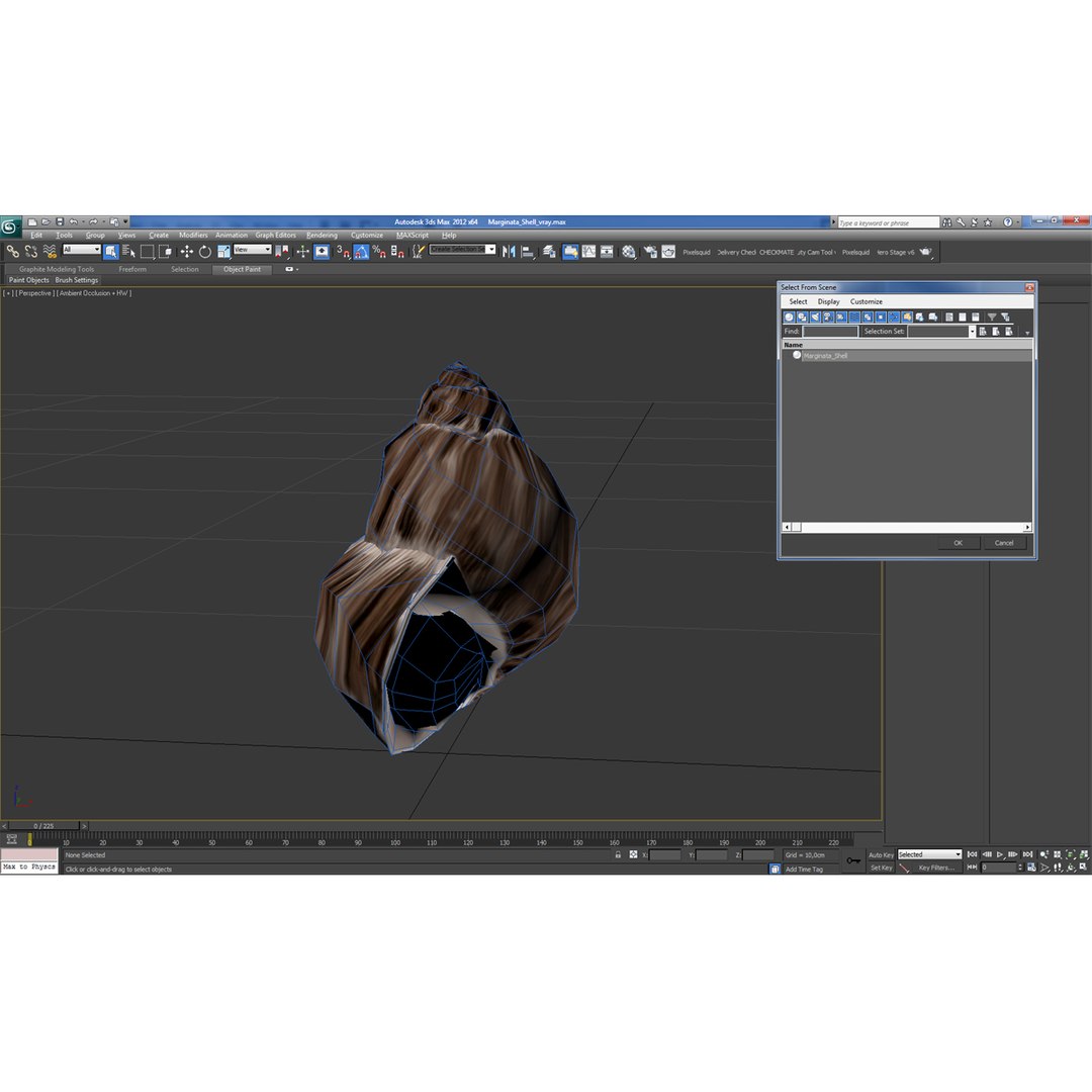 3d marginata shell model https://p.turbosquid.com/ts-thumb/SU/27rU0R/vs4cg9Yr/3dmodelofmarginatashell18/jpg/1447067245/1920x1080/fit_q87/54b1ebd3967c7df599a25cdd1ac37c3302286926/3dmodelofmarginatashell18.jpg