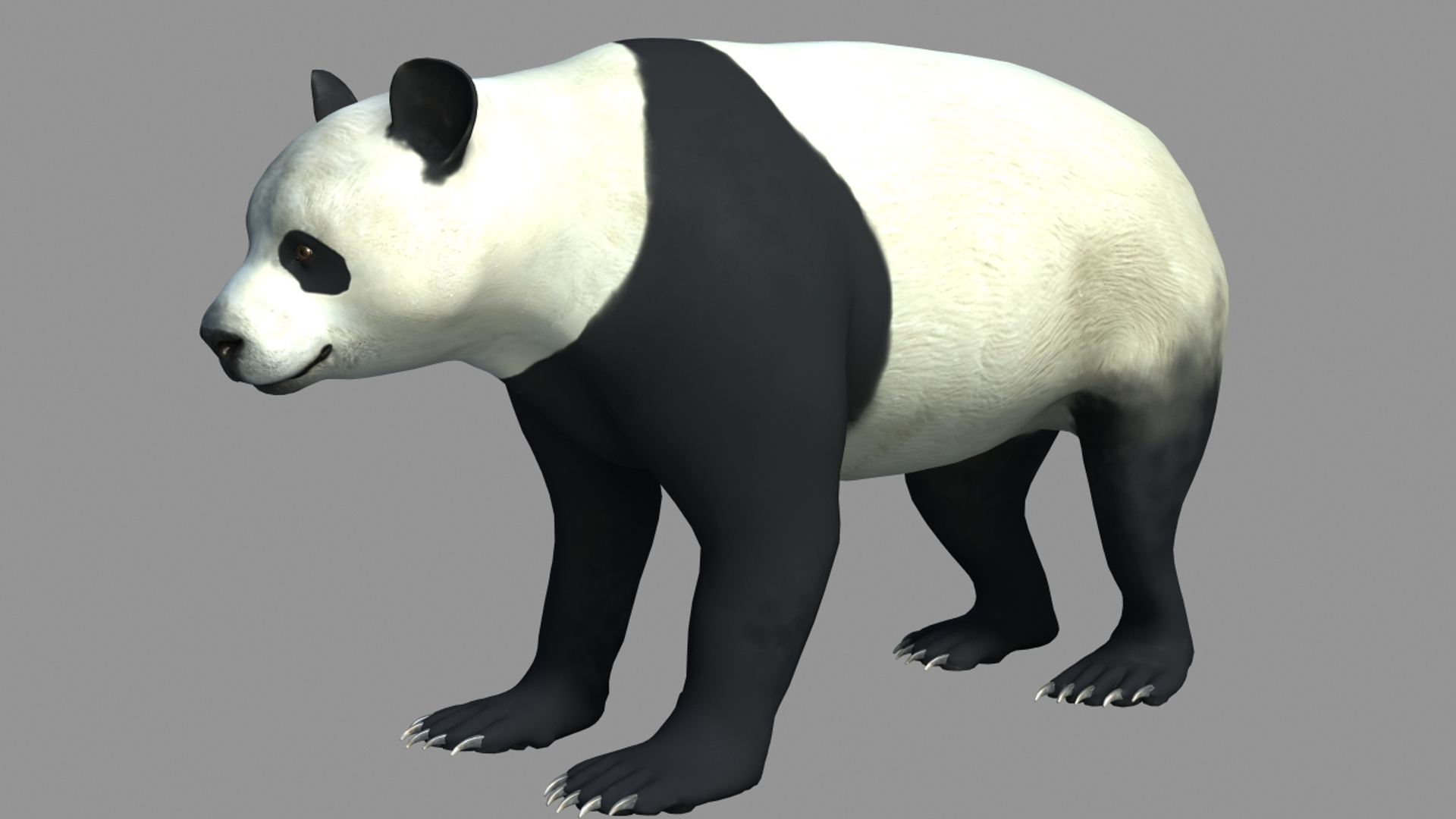 3d model panda bear