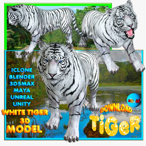 011200x1200rgb247whitetiger.jpg