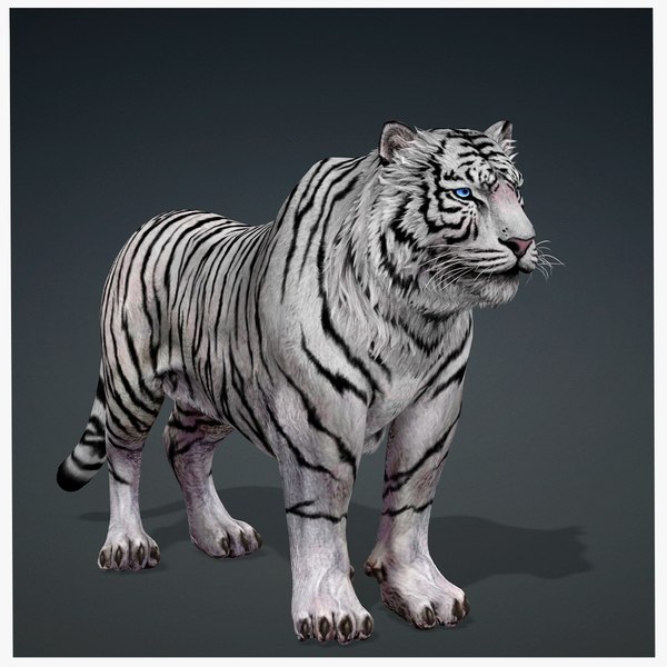 KING WHITE TIGER 3D RDAM MODEL 3D model