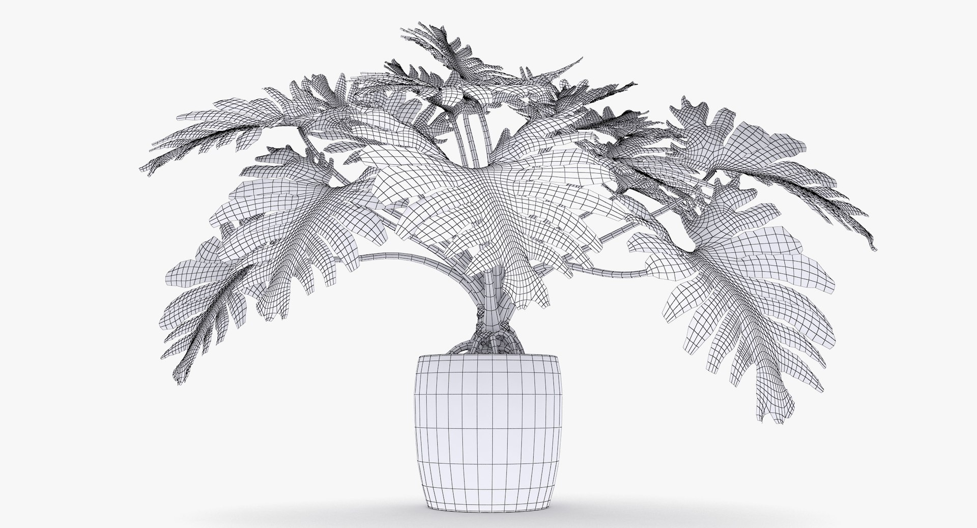 philodendron selloum pot 3D https://p.turbosquid.com/ts-thumb/SU/pQ1bZu/18FX7aYF/philodendron_selloum_052_wireframe/jpg/1504873402/1920x1080/fit_q87/6013d188fdd5aa87205de8e3809615a72bd4b9df/philodendron_selloum_052_wireframe.jpg