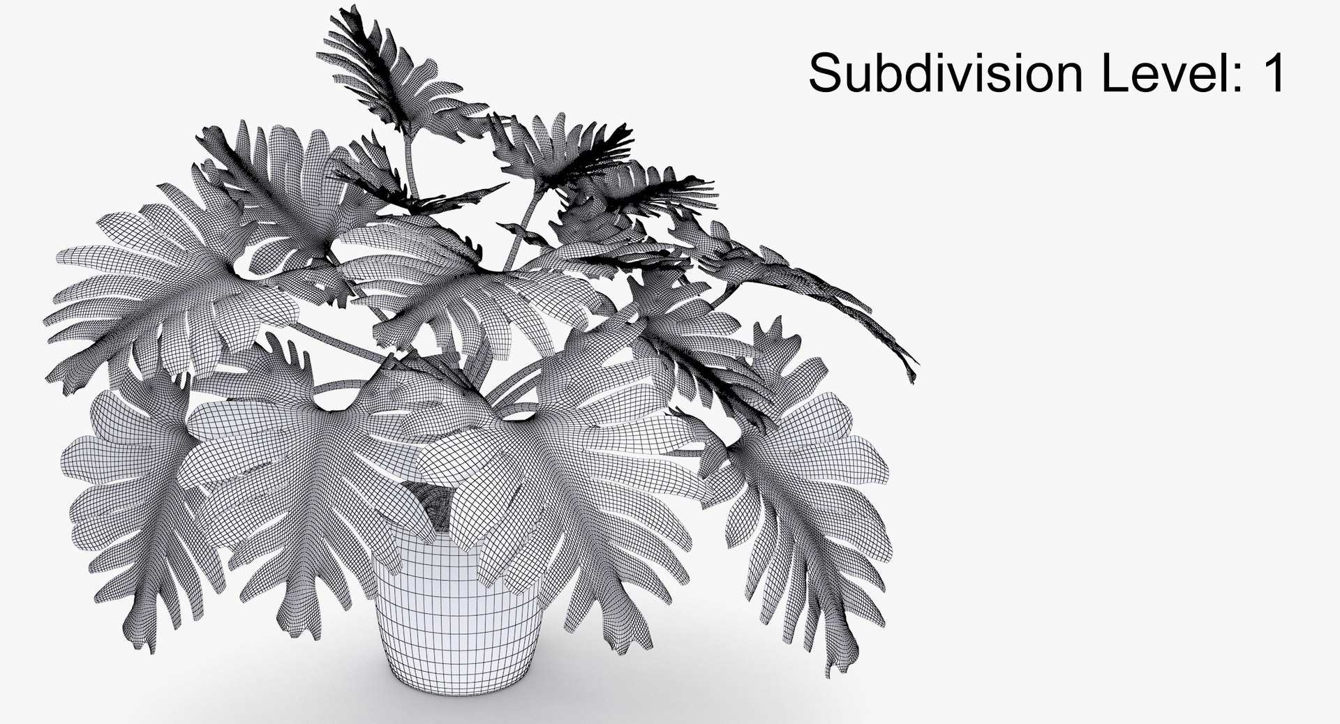 philodendron selloum pot 3D https://p.turbosquid.com/ts-thumb/SU/pQ1bZu/28scH6AB/philodendron_selloum_092_wire_subd/jpg/1504873402/1920x1080/fit_q87/a259d7d7d43f7365f5045f614e2abc24b4486c84/philodendron_selloum_092_wire_subd.jpg