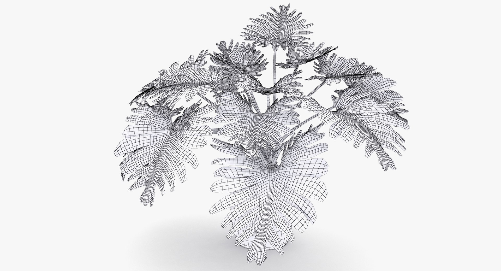 philodendron selloum pot 3D https://p.turbosquid.com/ts-thumb/SU/pQ1bZu/2cH3NDFB/philodendron_selloum_026/jpg/1504873402/1920x1080/fit_q87/6d08f7062aab858e58373d66d91dc67ac28d0cbc/philodendron_selloum_026.jpg