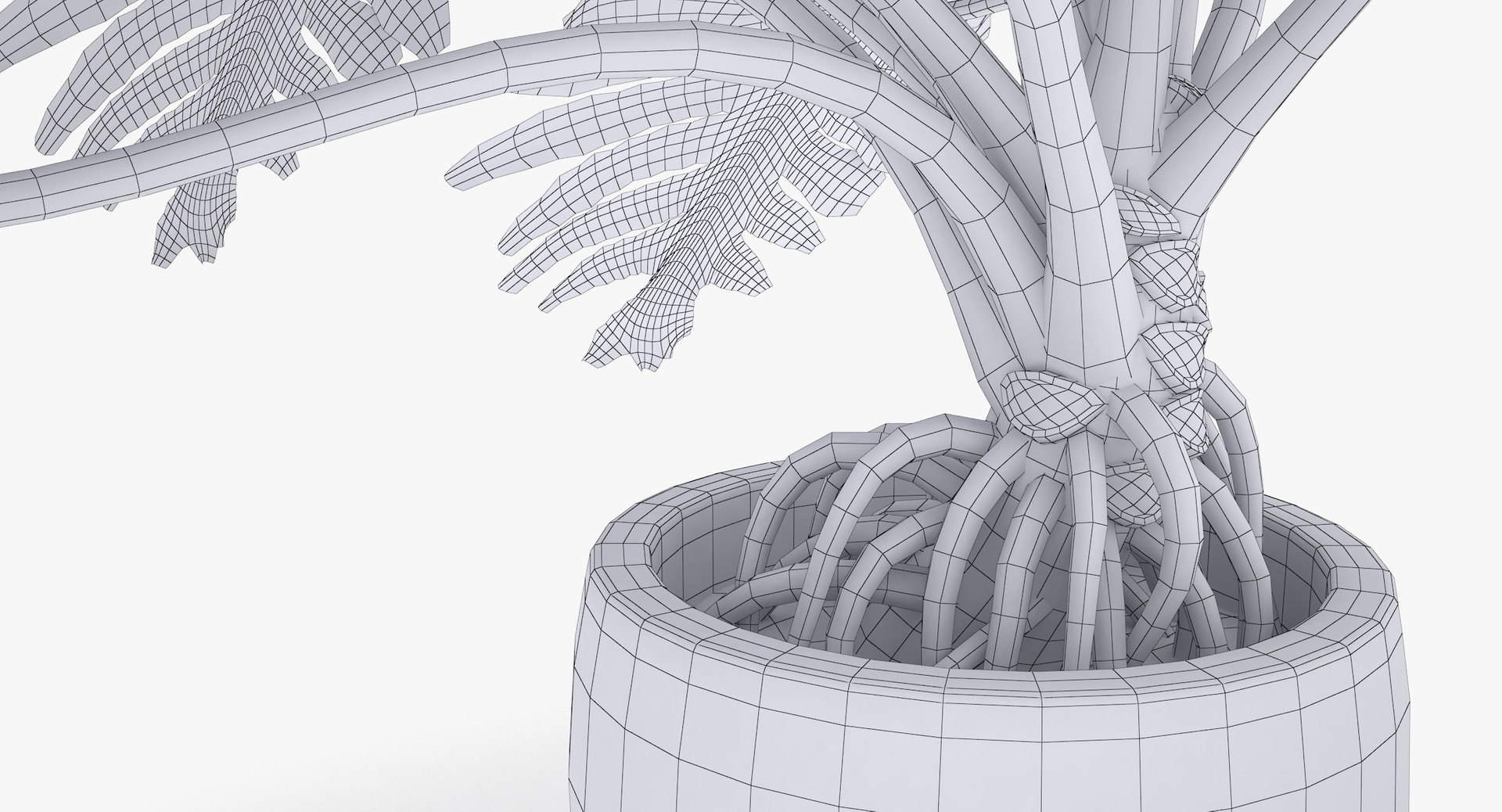 philodendron selloum pot 3D https://p.turbosquid.com/ts-thumb/SU/pQ1bZu/9SLSAo9T/philodendron_selloum_072_wireframe/jpg/1504873402/1920x1080/fit_q87/857e79f82e320c414d012943e492c5500be38e8e/philodendron_selloum_072_wireframe.jpg