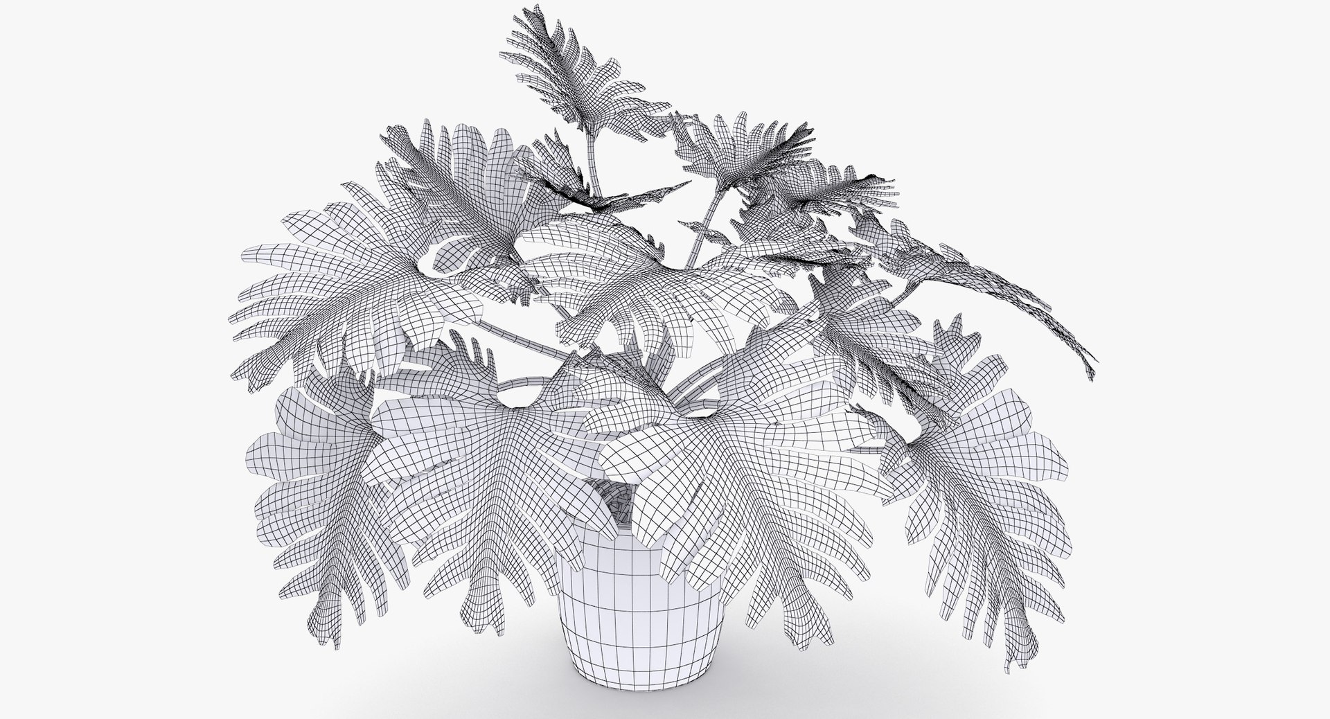 philodendron selloum pot 3D https://p.turbosquid.com/ts-thumb/SU/pQ1bZu/CdB6RlLz/philodendron_selloum_006_wireframe/jpg/1504873402/1920x1080/fit_q87/c8da7d36721527b8130b93053e71c0340abbc4a1/philodendron_selloum_006_wireframe.jpg