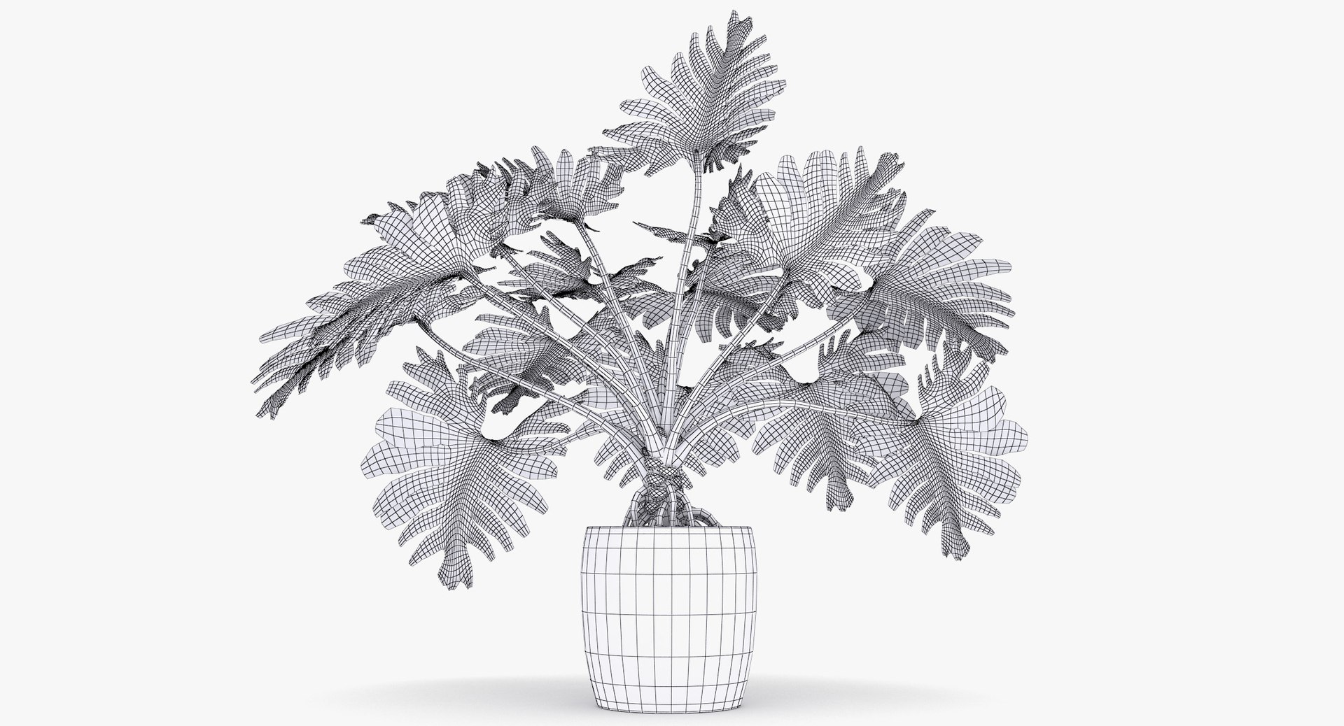 philodendron selloum pot 3D https://p.turbosquid.com/ts-thumb/SU/pQ1bZu/DTuevtTs/philodendron_selloum_062_wireframe/jpg/1504873402/1920x1080/fit_q87/c1e827b1df1704ac921af9ffccf0a63f0d37a799/philodendron_selloum_062_wireframe.jpg