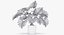 Philodendron Selloum In Pot