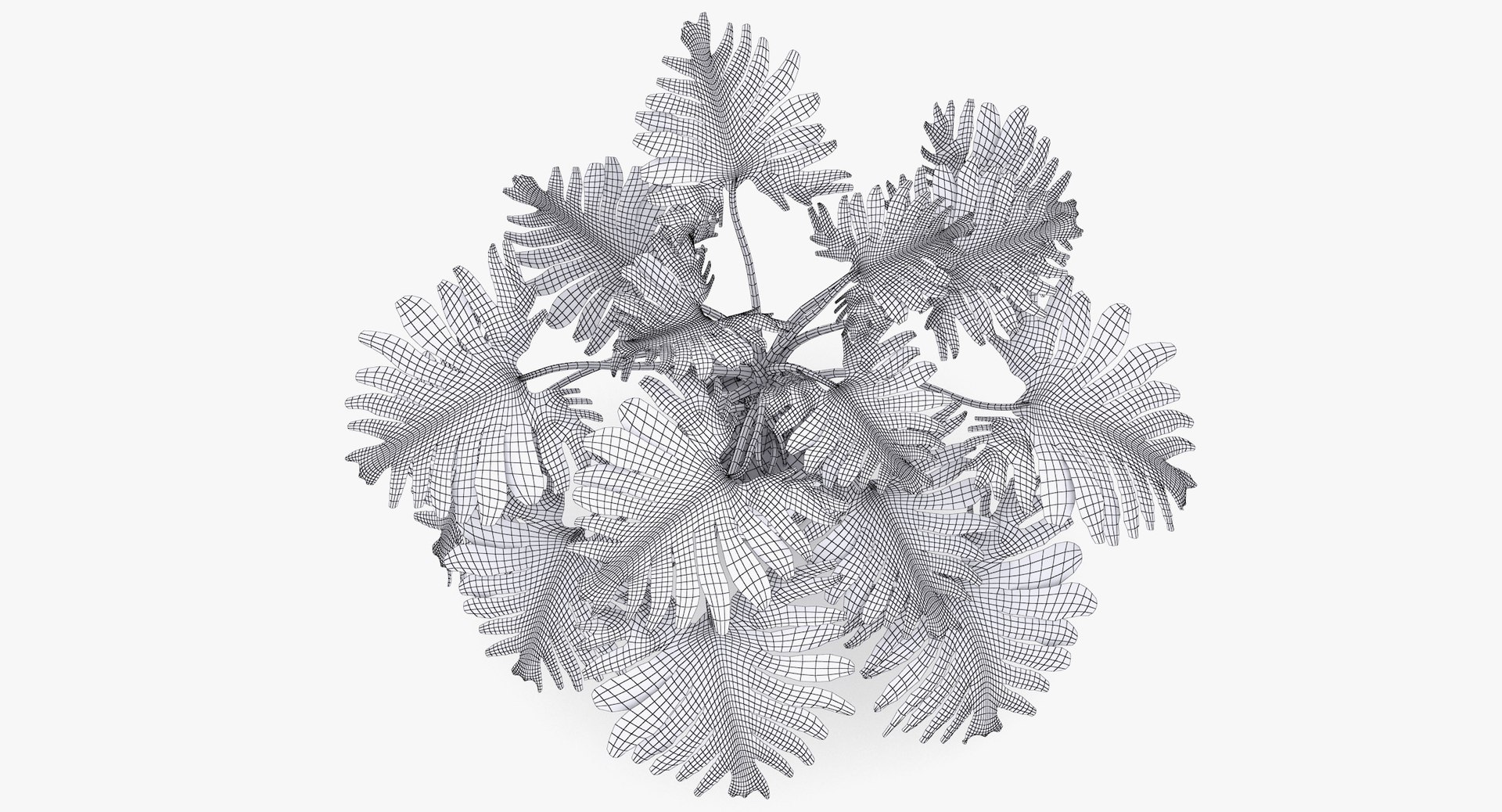philodendron selloum pot 3D https://p.turbosquid.com/ts-thumb/SU/pQ1bZu/EBXwouJz/philodendron_selloum_032_wireframe/jpg/1504873402/1920x1080/fit_q87/f07e1fdd408012c806855f7997d174ee3276f64f/philodendron_selloum_032_wireframe.jpg