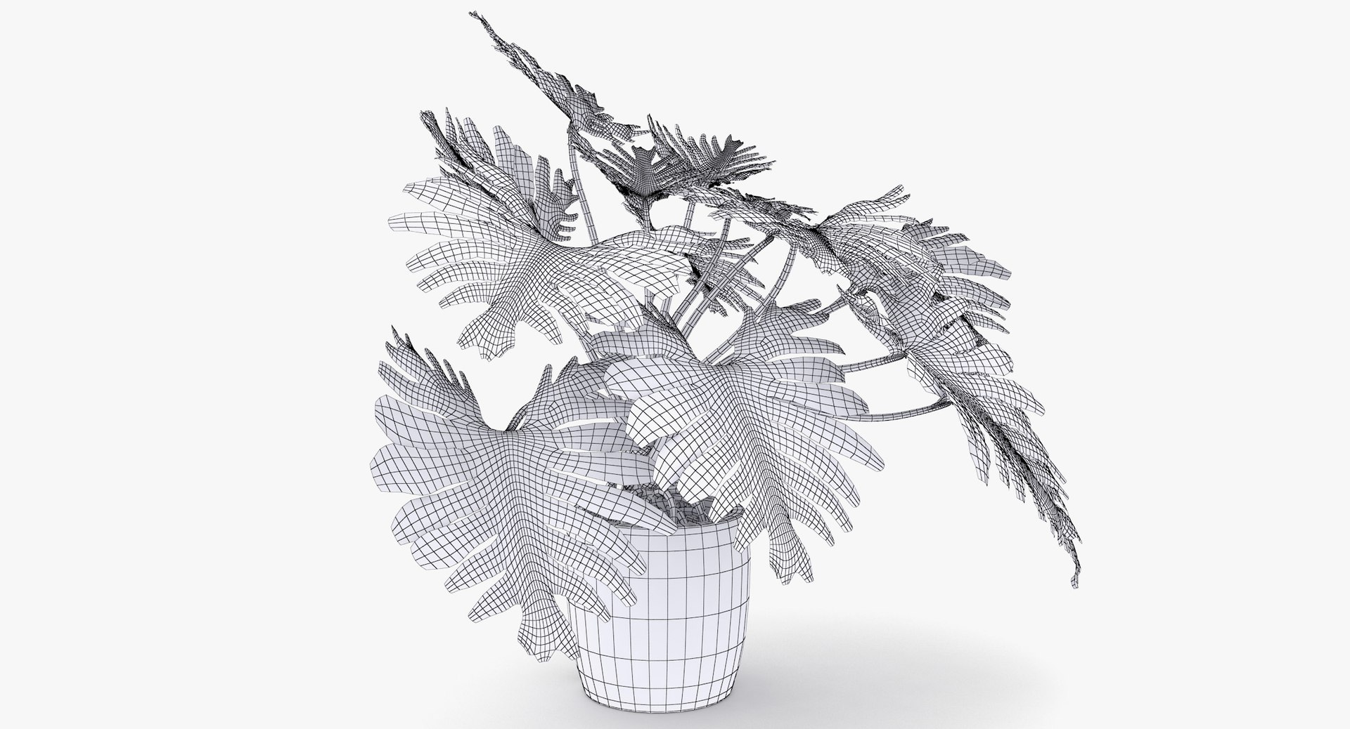 philodendron selloum pot 3D https://p.turbosquid.com/ts-thumb/SU/pQ1bZu/KBeMC0kn/philodendron_selloum_016/jpg/1504873402/1920x1080/fit_q87/d54bb9f5d577282717ddbf96d195efdbf60cf968/philodendron_selloum_016.jpg