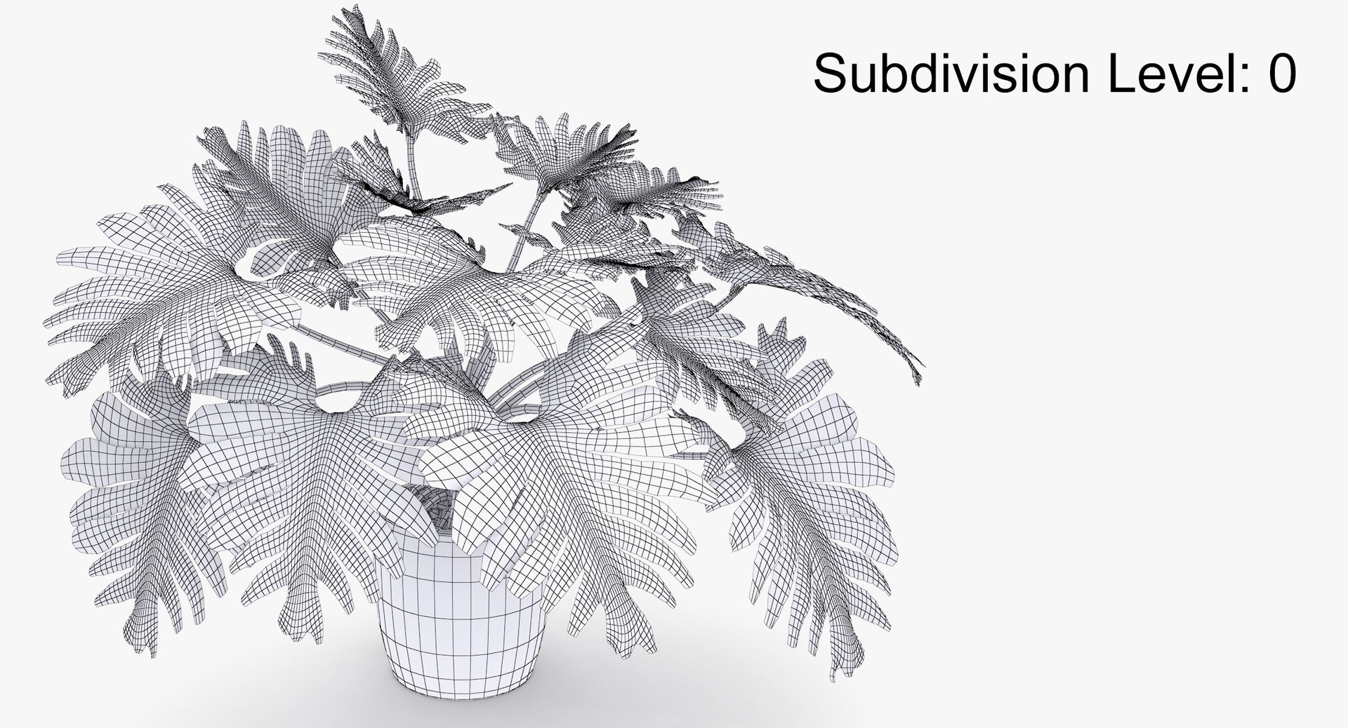 philodendron selloum pot 3D https://p.turbosquid.com/ts-thumb/SU/pQ1bZu/Li9Zfeg3/philodendron_selloum_091_wire_subd/jpg/1504873402/1920x1080/fit_q87/00ef71ebde29ce0ab2624f7287017348c1977fba/philodendron_selloum_091_wire_subd.jpg