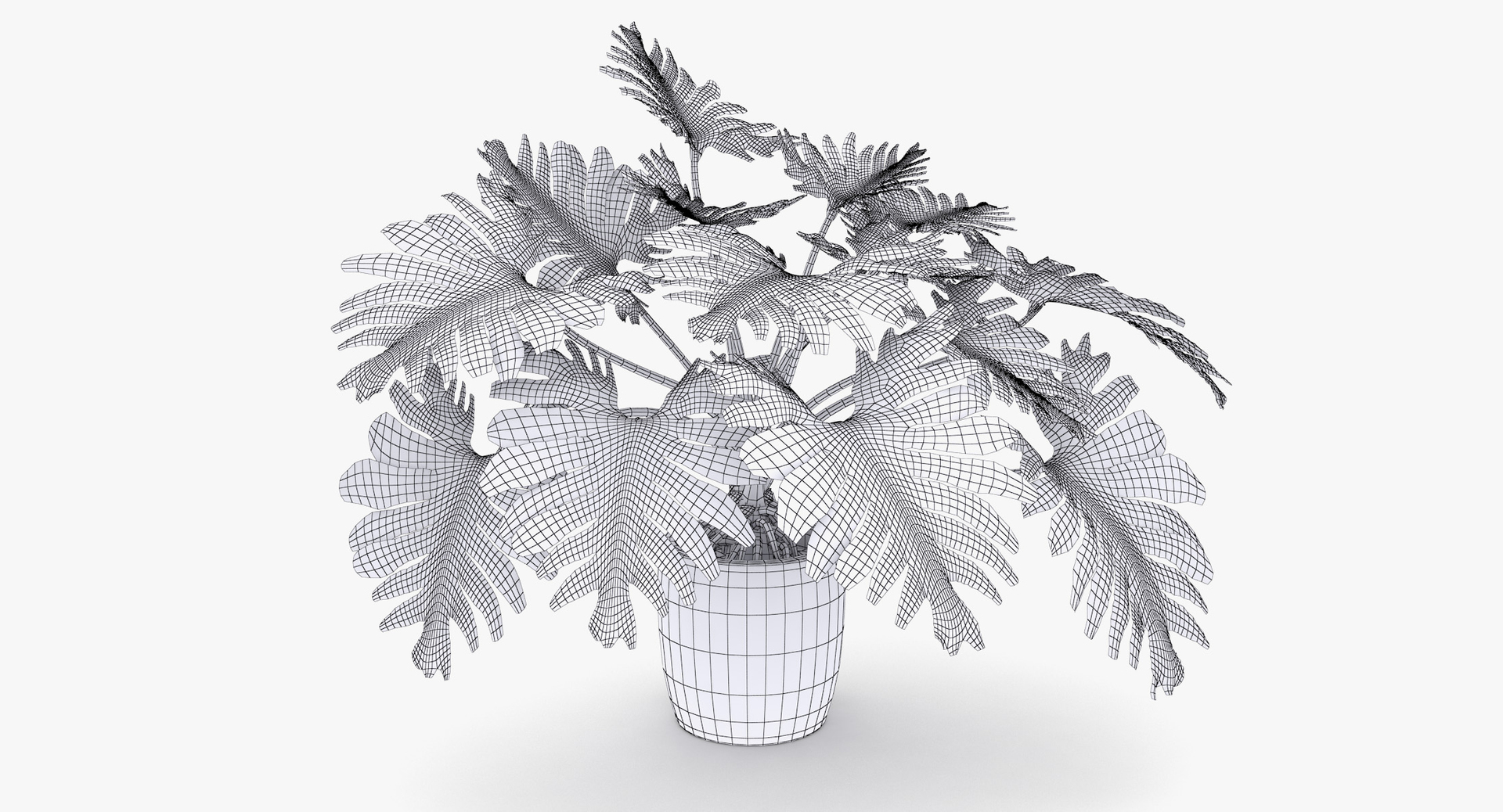 philodendron selloum pot 3D https://p.turbosquid.com/ts-thumb/SU/pQ1bZu/MvemitsH/philodendron_selloum_tt2/jpg/1504874282/1920x1080/turn_fit_q99/d8b021f58fd5c29cf3b8503d6d6e8376869206ac/philodendron_selloum_tt2-1.jpg