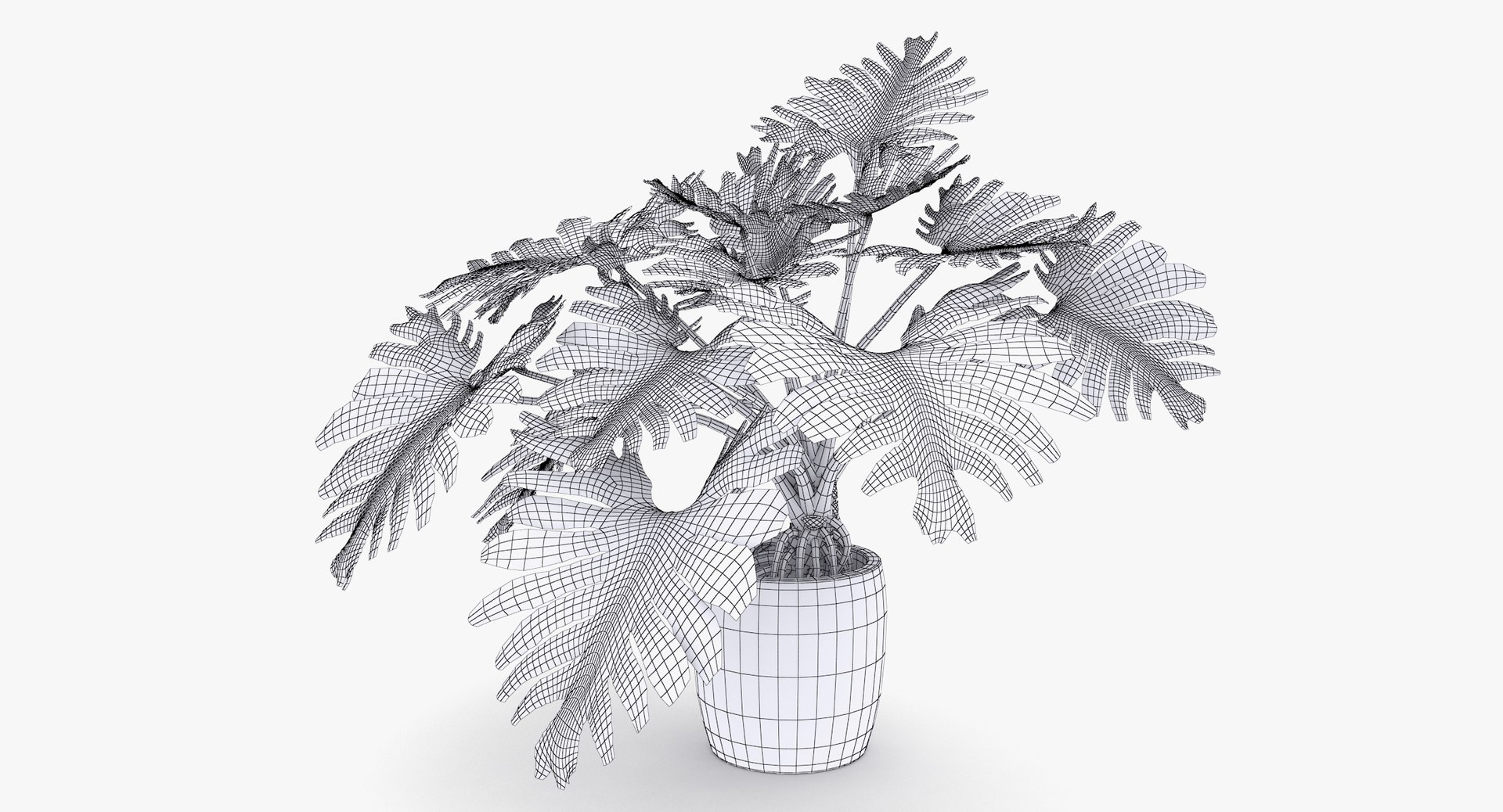 philodendron selloum pot 3D https://p.turbosquid.com/ts-thumb/SU/pQ1bZu/RlowcqDa/philodendron_selloum_012_wireframe/jpg/1504873402/1920x1080/fit_q87/92dc5740527d621d52e65900a1246eba95763fcb/philodendron_selloum_012_wireframe.jpg