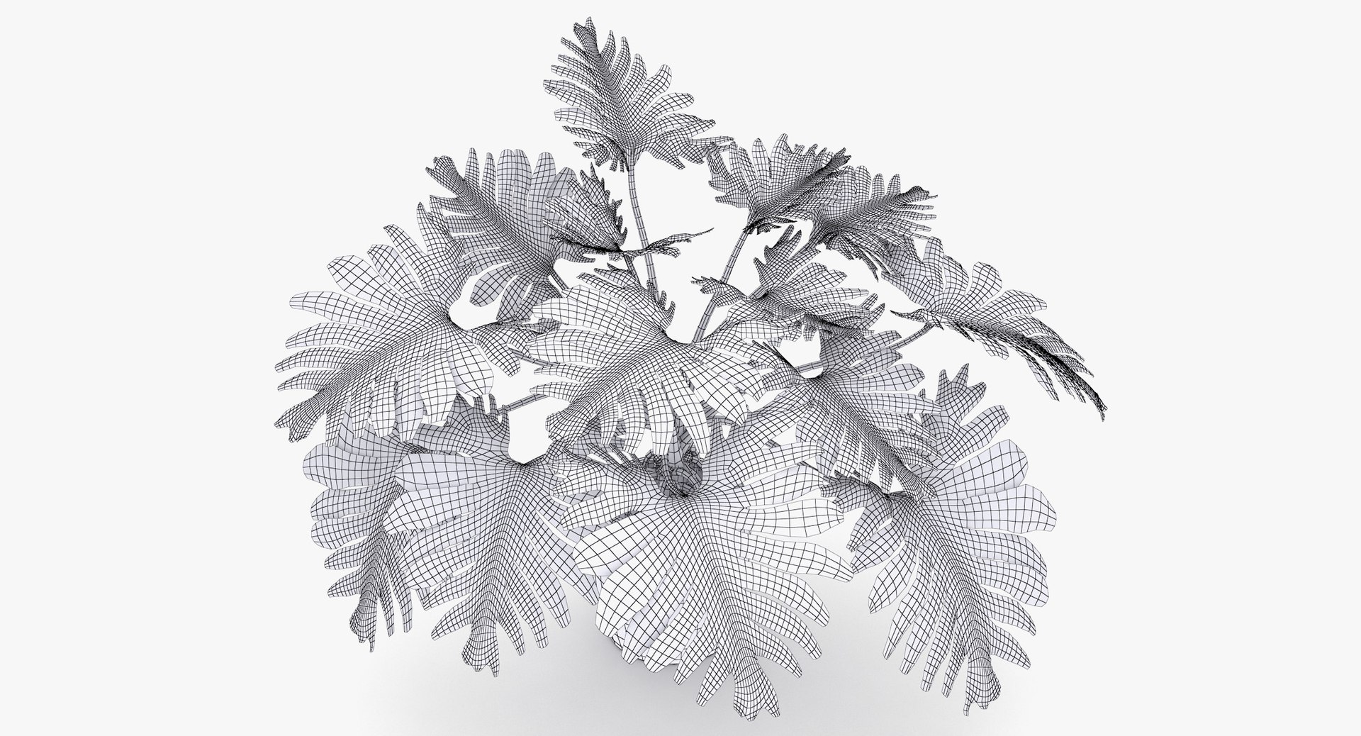 philodendron selloum pot 3D https://p.turbosquid.com/ts-thumb/SU/pQ1bZu/SgzQ12ov/philodendron_selloum_022_wireframe/jpg/1504873402/1920x1080/fit_q87/3d246cd5491d9b0b7644b4b275cdf6f8079630e4/philodendron_selloum_022_wireframe.jpg