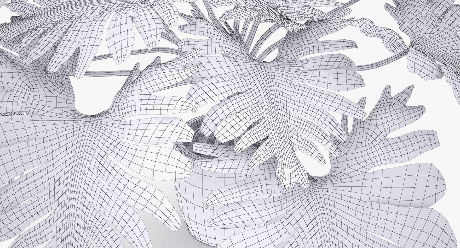 philodendron selloum pot 3D https://p.turbosquid.com/ts-thumb/SU/pQ1bZu/q8o3ZP4k/philodendron_selloum_042_wireframe/jpg/1504873402/1920x1080/fit_q87/30d5704ec8f1ee3596c19233f8e1d232ebae9d09/philodendron_selloum_042_wireframe.jpg