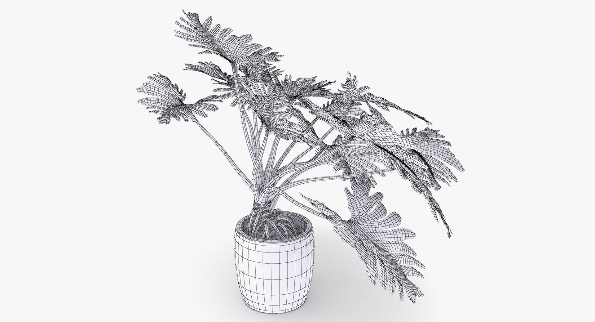 philodendron selloum pot 3D https://p.turbosquid.com/ts-thumb/SU/pQ1bZu/uhcb6XcX/philodendron_selloum_066/jpg/1504873402/1920x1080/fit_q87/a143edd7feb90800e930e564fa643f18af6eeb78/philodendron_selloum_066.jpg