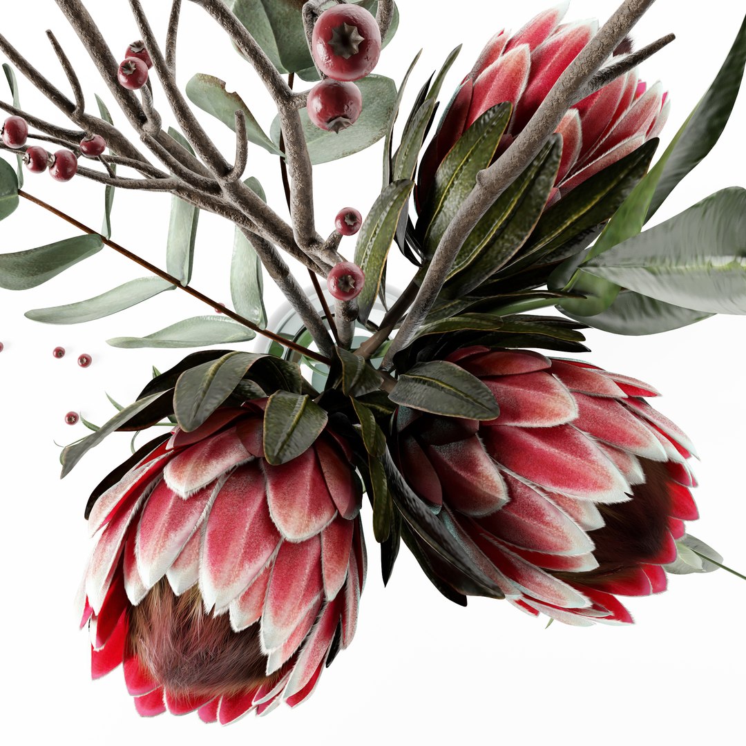 bunch flowers protea eucalypt 3D model https://p.turbosquid.com/ts-thumb/SU/s3bkfr/ltaSG9fC/bunch_of_flowers_with_protea_and_eucalipt_002/jpg/1603388628/1920x1080/fit_q87/173825a95a438c6f0d388acebb202f2ec55a4943/bunch_of_flowers_with_protea_and_eucalipt_002.jpg