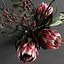 花束与 protea 和桉树