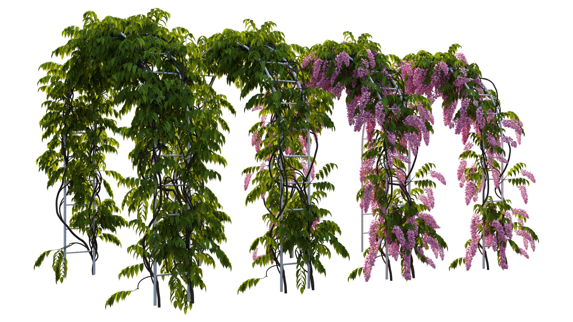 3D tree 13 https://p.turbosquid.com/ts-thumb/SU/th0GB5/0g/14_interactivelightmix/png/1607415589/1920x1080/fit_q87/74f89cd6504ad7abc4ca646d779a2cd4920257d2/14_interactivelightmix.jpg
