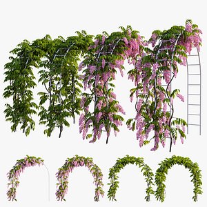 wisterial plant 13