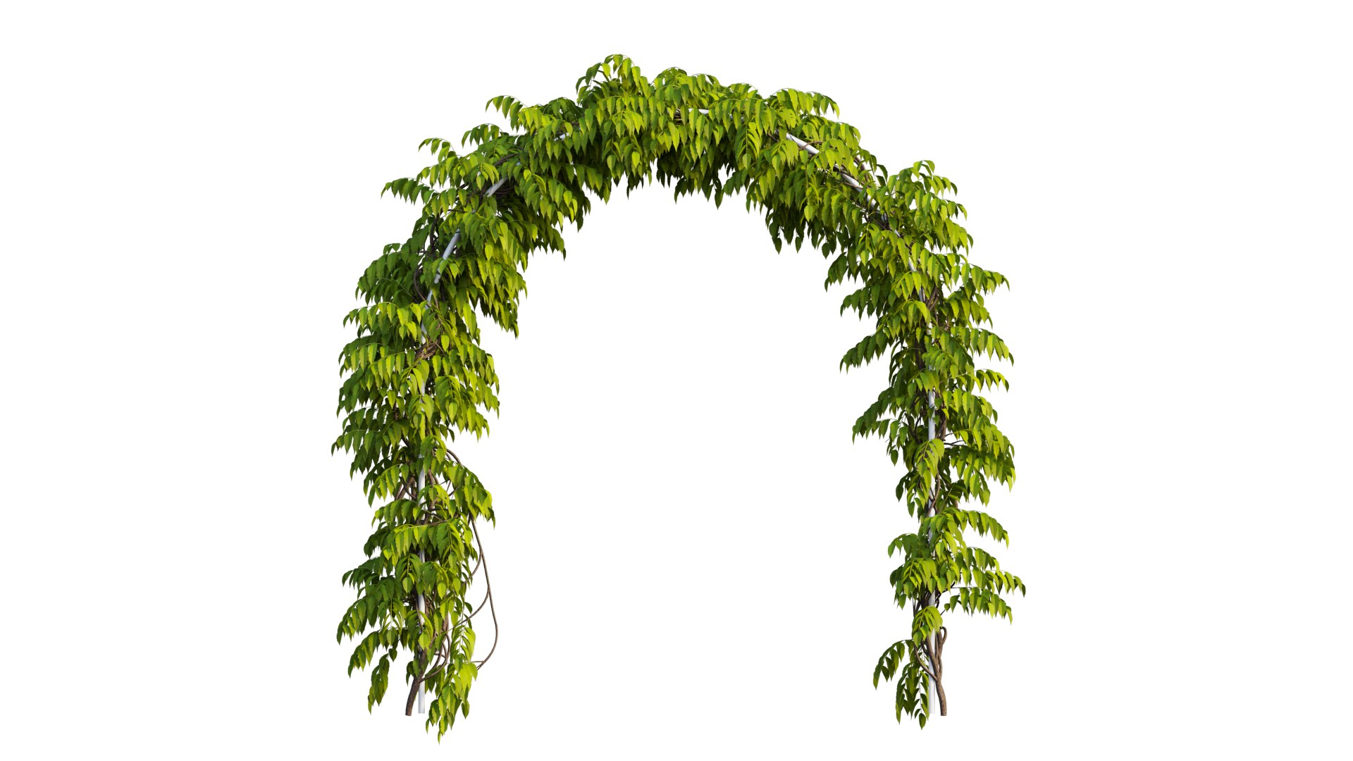 3D tree 13 https://p.turbosquid.com/ts-thumb/SU/th0GB5/NP/8_interactivelightmix/png/1607415587/1920x1080/fit_q87/b1f68f32d403e2164ed7c0965f2281998894fbcd/8_interactivelightmix.jpg