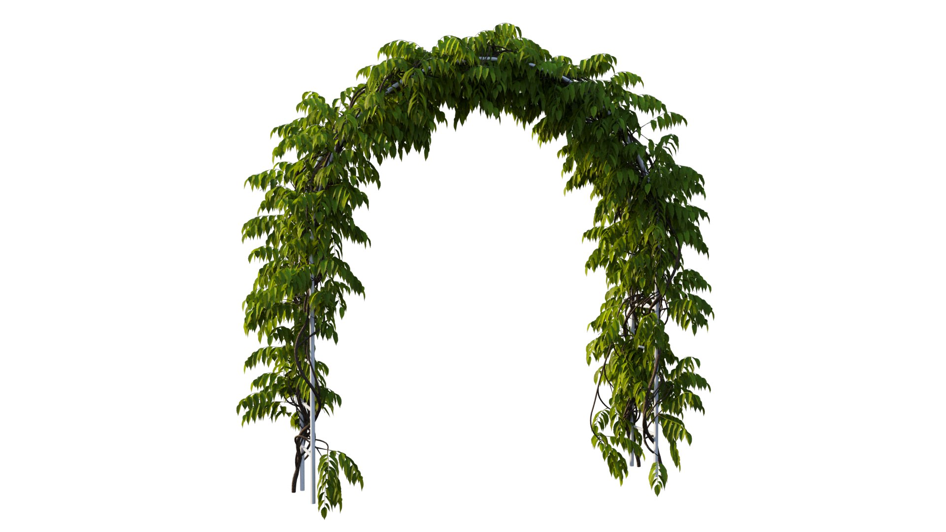 3D tree 13 https://p.turbosquid.com/ts-thumb/SU/th0GB5/O3/9_interactivelightmix/png/1607415588/1920x1080/fit_q87/9b4743f4153dcba54df8a127775a97be8f90d585/9_interactivelightmix.jpg