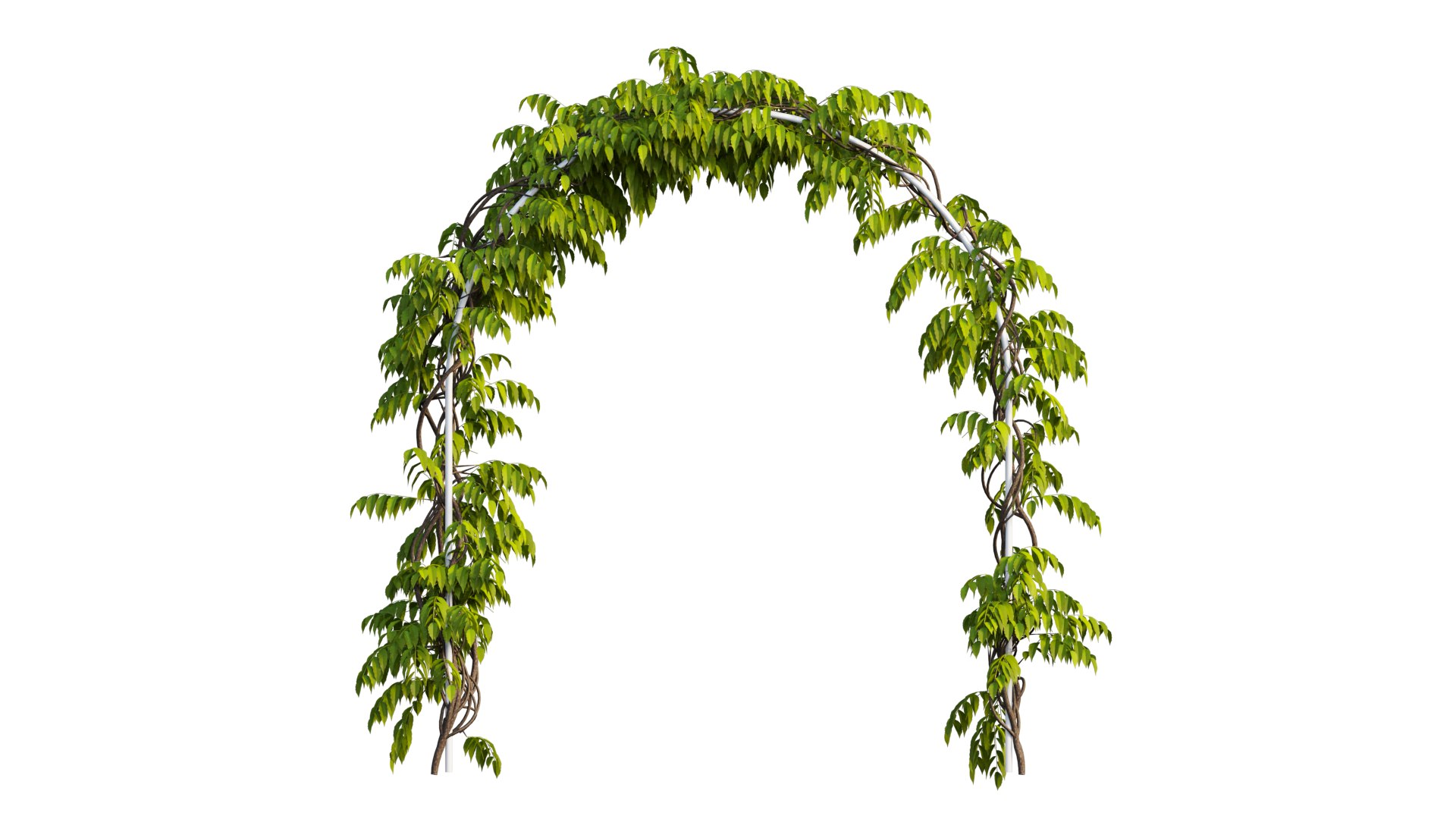 3D tree 13 https://p.turbosquid.com/ts-thumb/SU/th0GB5/PR/6_interactivelightmix/png/1607415584/1920x1080/fit_q87/077e65571166c1b6dff8fc80d63934d5bc64cd87/6_interactivelightmix.jpg