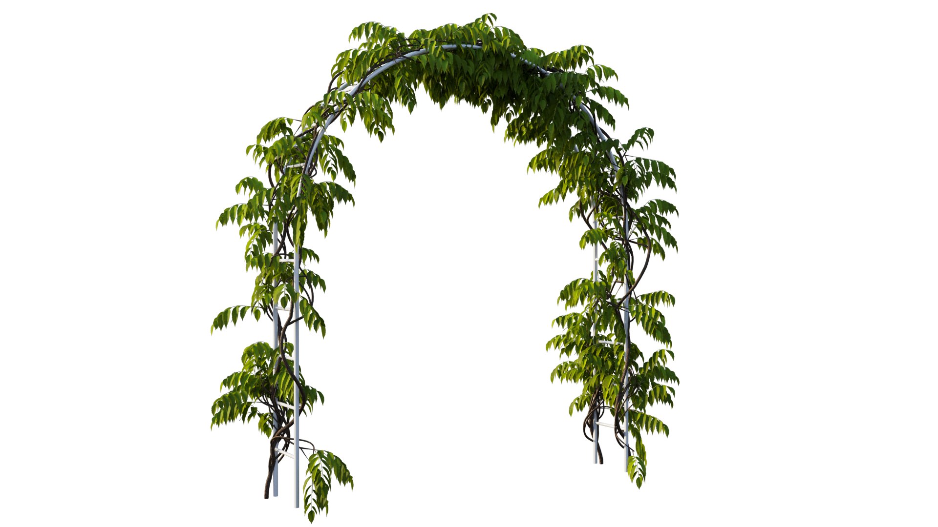 3D tree 13 https://p.turbosquid.com/ts-thumb/SU/th0GB5/ix/7_interactivelightmix/png/1607415587/1920x1080/fit_q87/5b2f25f797aa881bb5b3f80fac50629fcf63ed0d/7_interactivelightmix.jpg