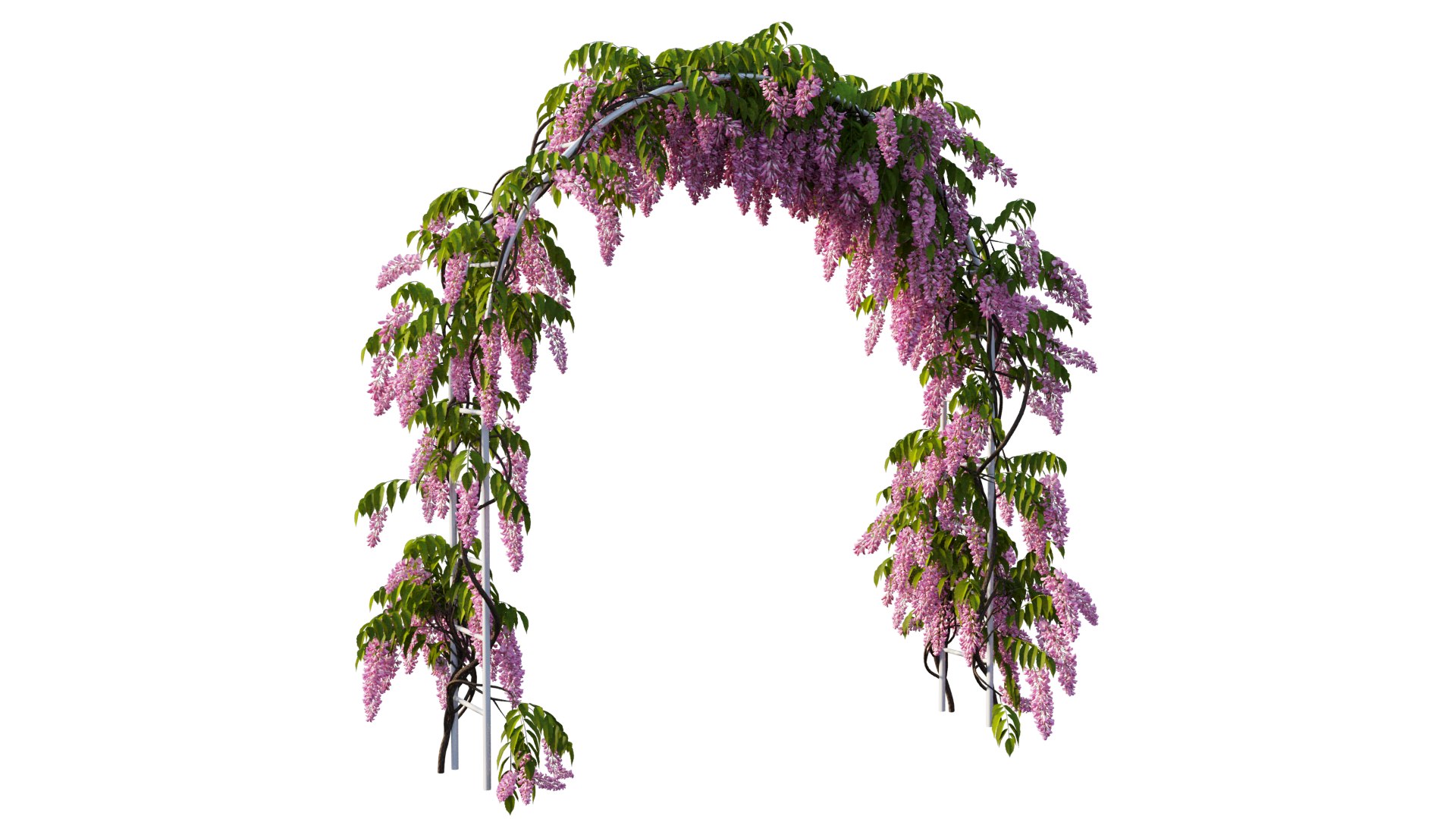 3D tree 13 https://p.turbosquid.com/ts-thumb/SU/th0GB5/j4/5_interactivelightmix/png/1607415587/1920x1080/fit_q87/e852f1d84c9f870ee32ec890a19cc17f02186bdc/5_interactivelightmix.jpg