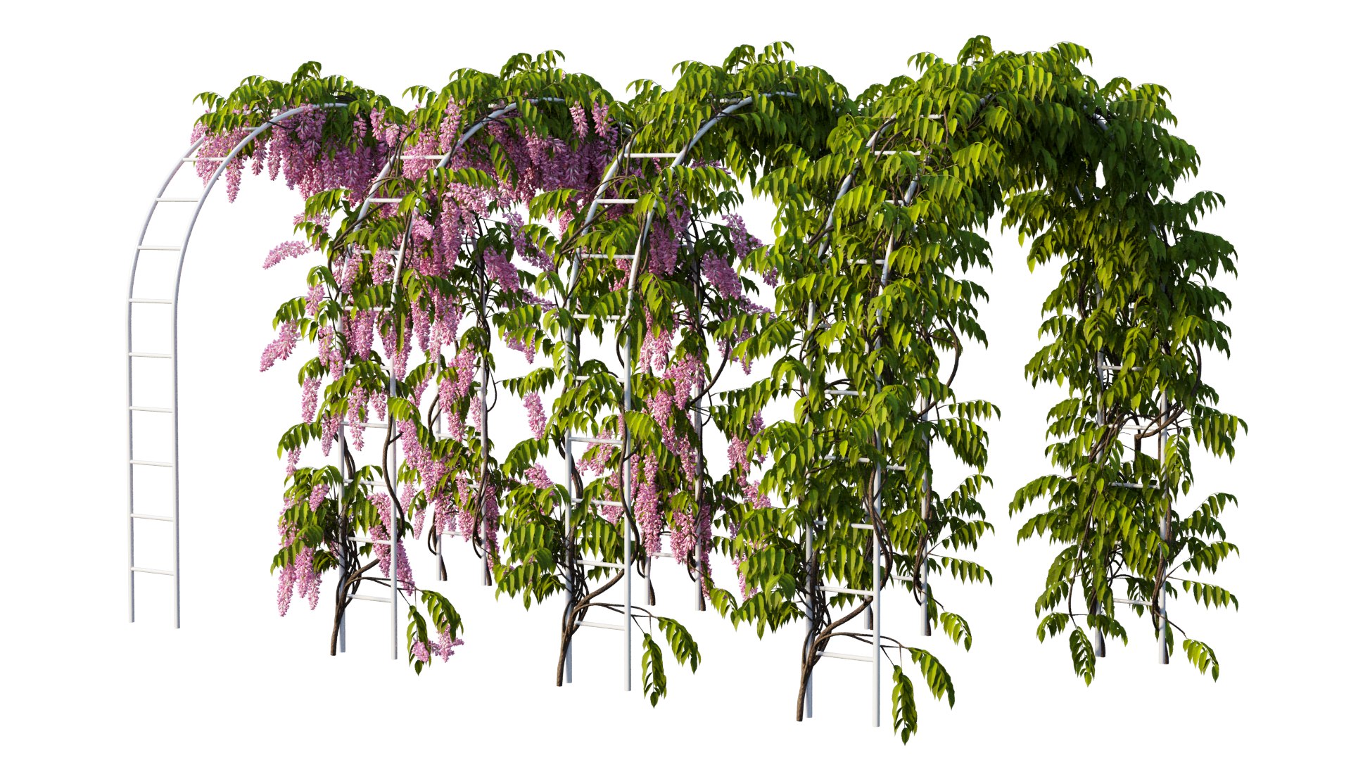 3D tree 13 https://p.turbosquid.com/ts-thumb/SU/th0GB5/rl/15_interactivelightmix/png/1607415591/1920x1080/fit_q87/272c8cd53cc08f78d4dd325a99cd5131a458edab/15_interactivelightmix.jpg