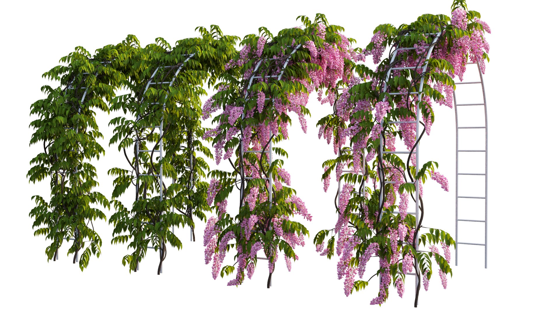 3D tree 13 https://p.turbosquid.com/ts-thumb/SU/th0GB5/sf/13_interactivelightmix/png/1607415590/1920x1080/fit_q87/e67035a2847e2ca8f184989e7a2ab834b7686772/13_interactivelightmix.jpg