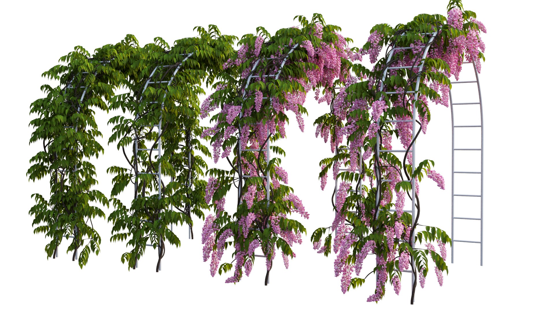 3D tree 13 https://p.turbosquid.com/ts-thumb/SU/th0GB5/vQ/12_interactivelightmix/png/1607415588/1920x1080/fit_q87/2db117e7ee0332bde337ce2fa841a7e9d56f2ace/12_interactivelightmix.jpg