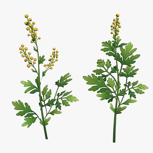 Wormwood stylized plant 3D model