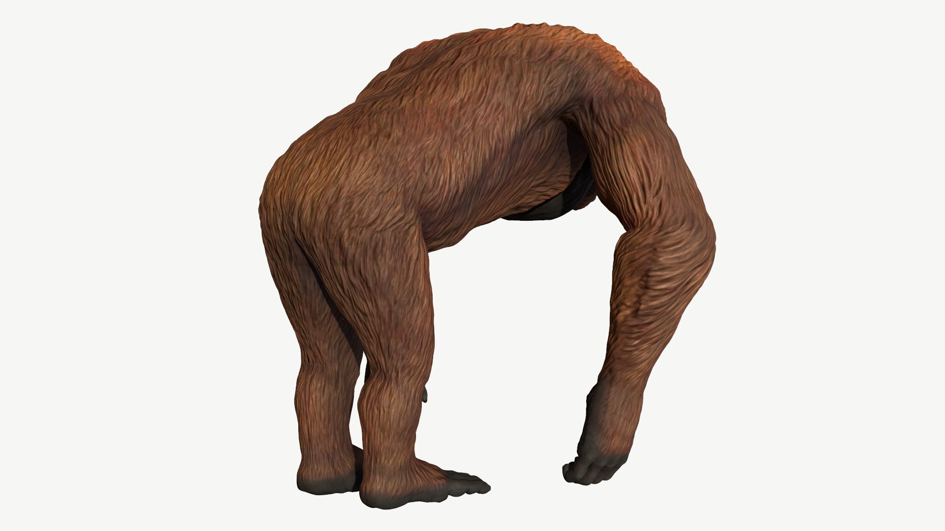 3D orangutan model https://p.turbosquid.com/ts-thumb/SV/HCwlpt/4t/3/png/1728350999/1920x1080/fit_q87/7dd373af18832a886af02294cf464185a2385c0a/3.jpg