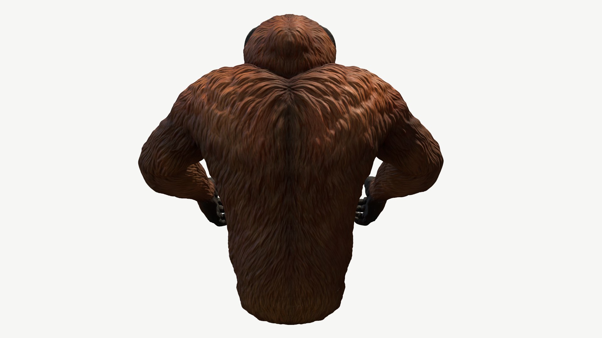 3D orangutan model https://p.turbosquid.com/ts-thumb/SV/HCwlpt/eR/4/png/1728351002/1920x1080/fit_q87/7e82af8cae9aad4514e38ae62fa281e5eef6bbb6/4.jpg