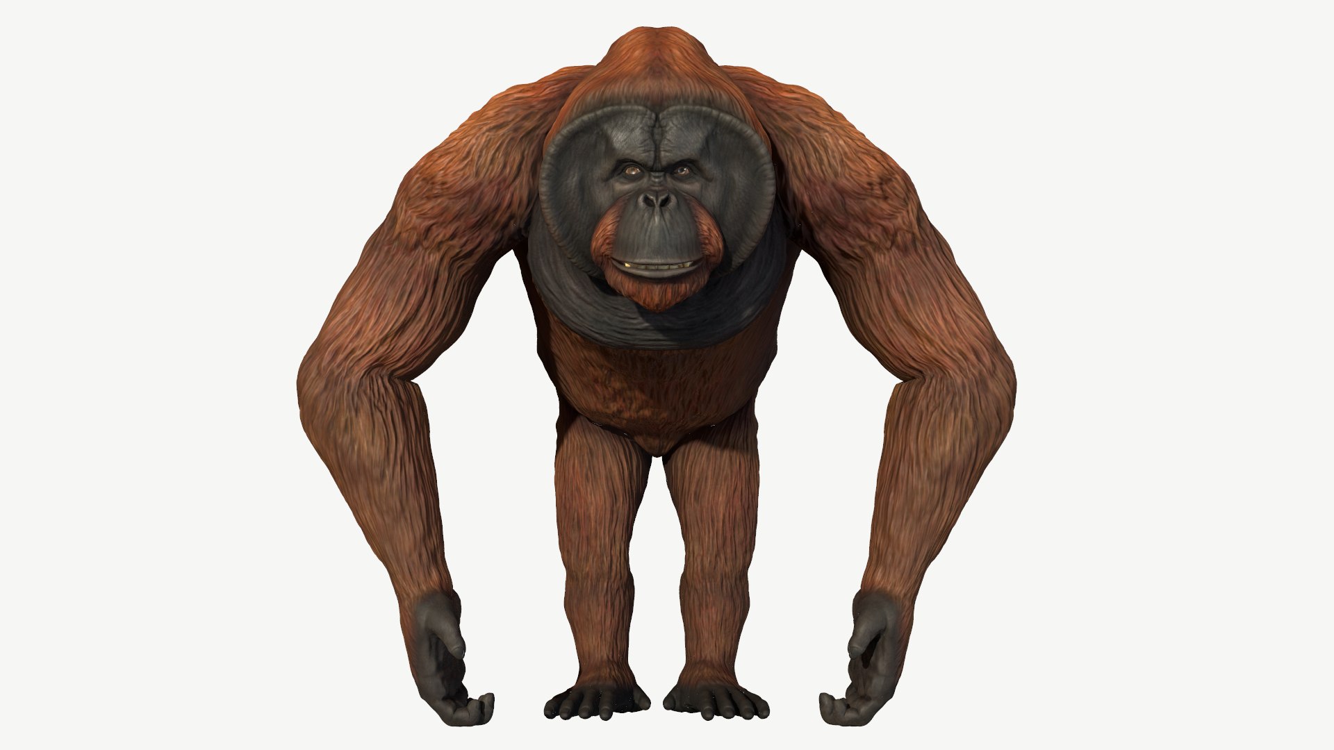 3D orangutan model https://p.turbosquid.com/ts-thumb/SV/HCwlpt/f9/5/png/1728351002/1920x1080/fit_q87/529c1aa9817b4b7c5c24407a3bb6aaaddef0d05c/5.jpg
