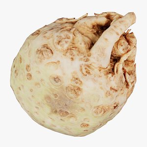 Koolraap Remastered 3D model