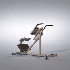 Back Extension Machine