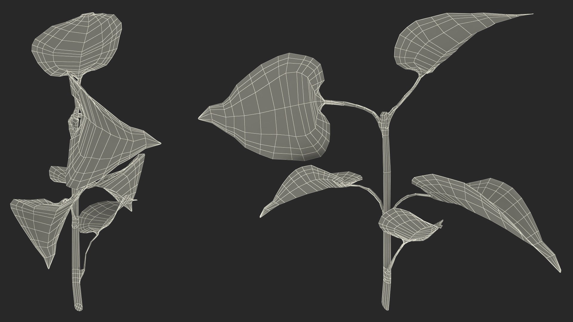 Branch with Green Leaves 3D model https://p.turbosquid.com/ts-thumb/SV/jPgNIy/1i/branchwithgreenleaves3dmodel023/jpg/1699041309/1920x1080/fit_q87/7dbd4b883d9a3d18d0f7083378d6bae3abef6d7f/branchwithgreenleaves3dmodel023.jpg
