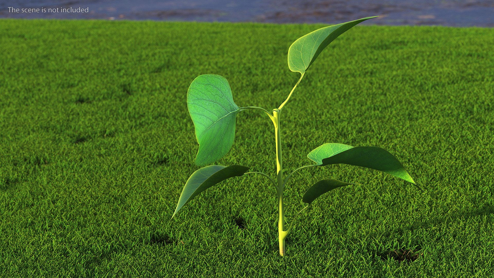 Branch with Green Leaves 3D model https://p.turbosquid.com/ts-thumb/SV/jPgNIy/LJ/branchwithgreenleaves3dmodel003/jpg/1699041229/1920x1080/fit_q87/403aafe8aca5ce9bb33fcef6f2678e99467e93ba/branchwithgreenleaves3dmodel003.jpg