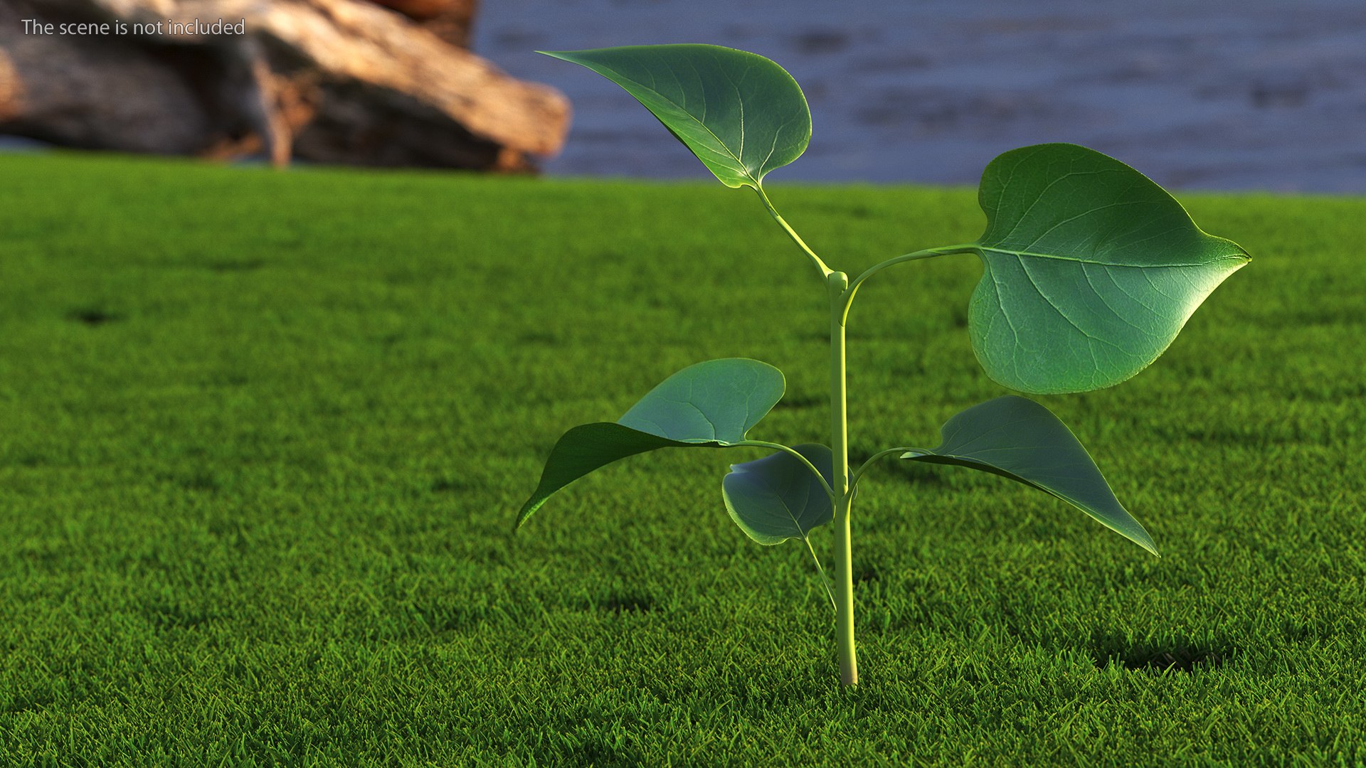 Branch with Green Leaves 3D model https://p.turbosquid.com/ts-thumb/SV/jPgNIy/QU/branchwithgreenleaves3dmodel002/jpg/1699041224/1920x1080/fit_q87/94cf6ebfe1315f5b7995223f37bf4763b54d106c/branchwithgreenleaves3dmodel002.jpg