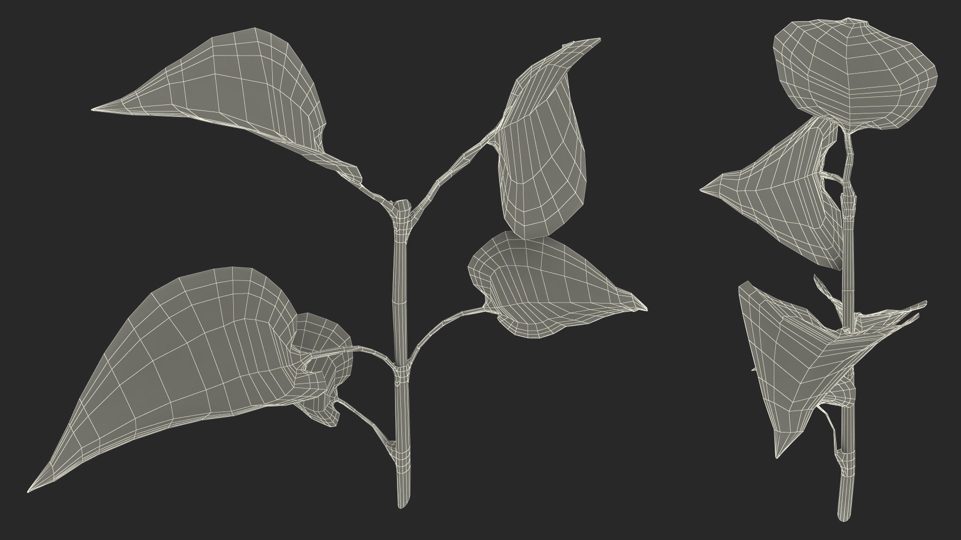 Branch with Green Leaves 3D model https://p.turbosquid.com/ts-thumb/SV/jPgNIy/Tx/branchwithgreenleaves3dmodel024/jpg/1699041313/1920x1080/fit_q87/ad0576c4575037b1f281103e9546481d646861d3/branchwithgreenleaves3dmodel024.jpg