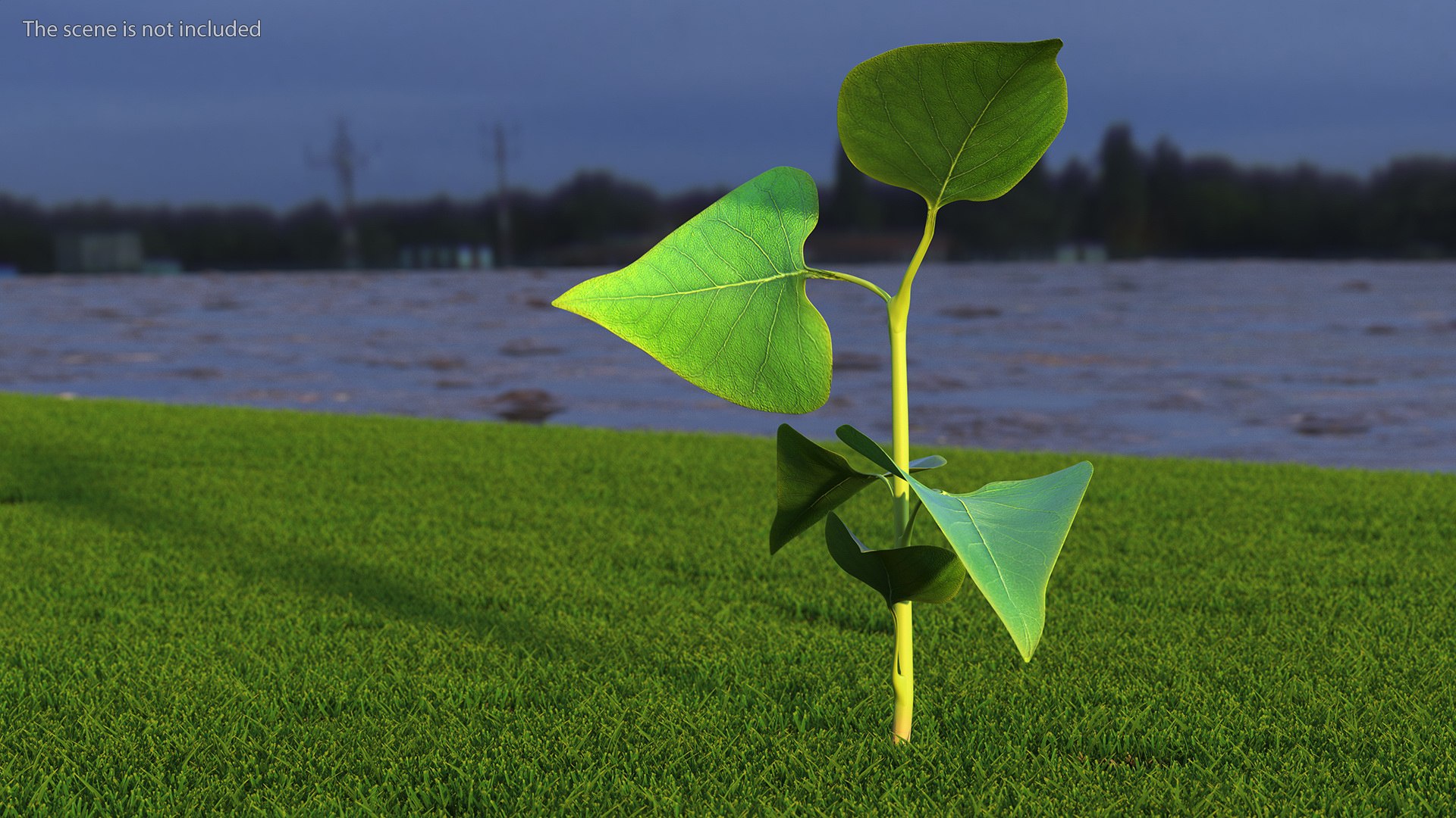 Branch with Green Leaves 3D model https://p.turbosquid.com/ts-thumb/SV/jPgNIy/iu/branchwithgreenleaves3dmodel005/jpg/1699041239/1920x1080/fit_q87/6717fecf653962249f3caf3accbbf2030c82184e/branchwithgreenleaves3dmodel005.jpg