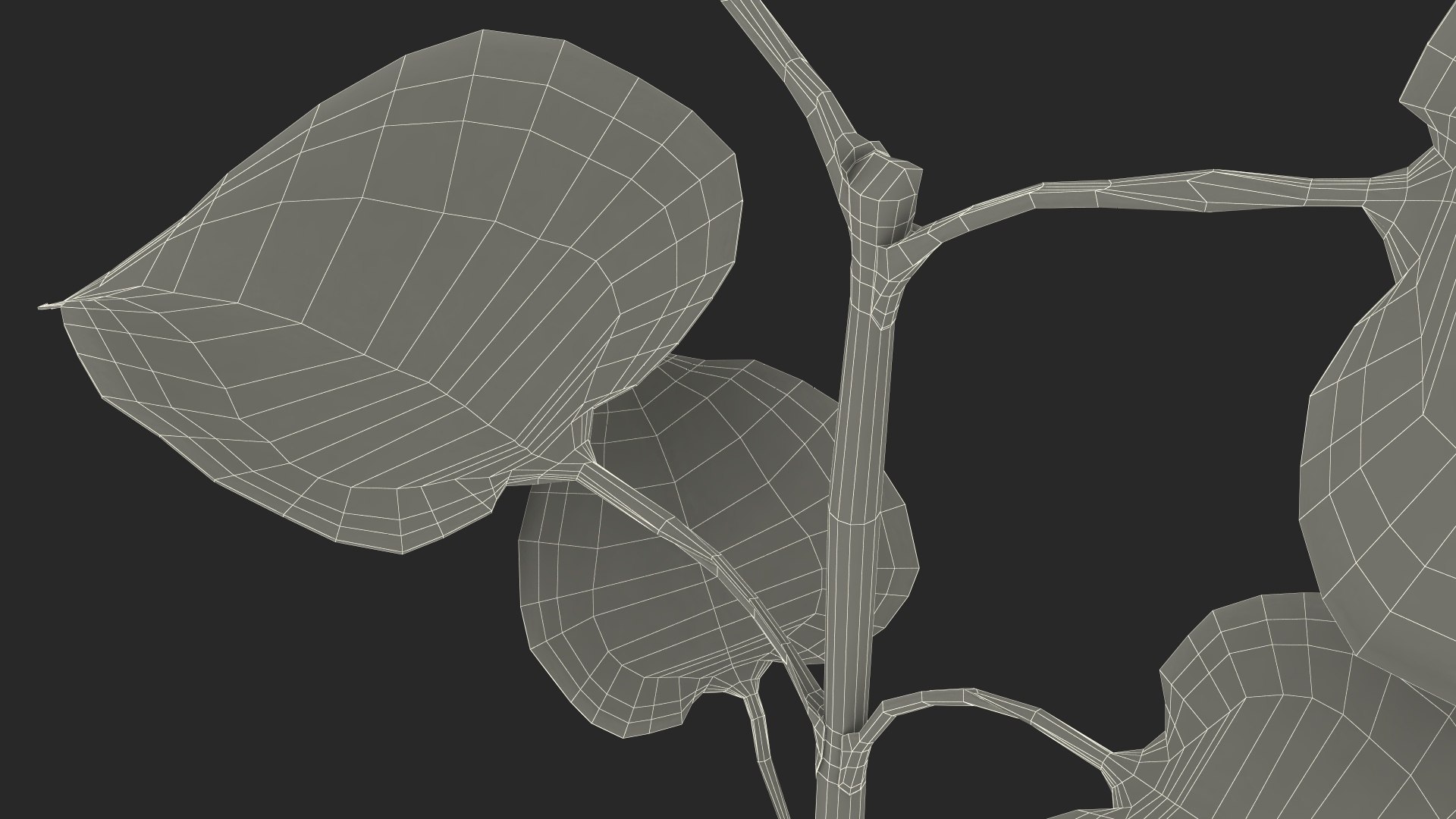 Branch with Green Leaves 3D model https://p.turbosquid.com/ts-thumb/SV/jPgNIy/jv/branchwithgreenleaves3dmodel026/jpg/1699041322/1920x1080/fit_q87/4c39c09d9c1a5bfed1d76e23e336b403d9dec43a/branchwithgreenleaves3dmodel026.jpg