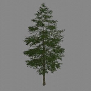 3D model lowpoly tree