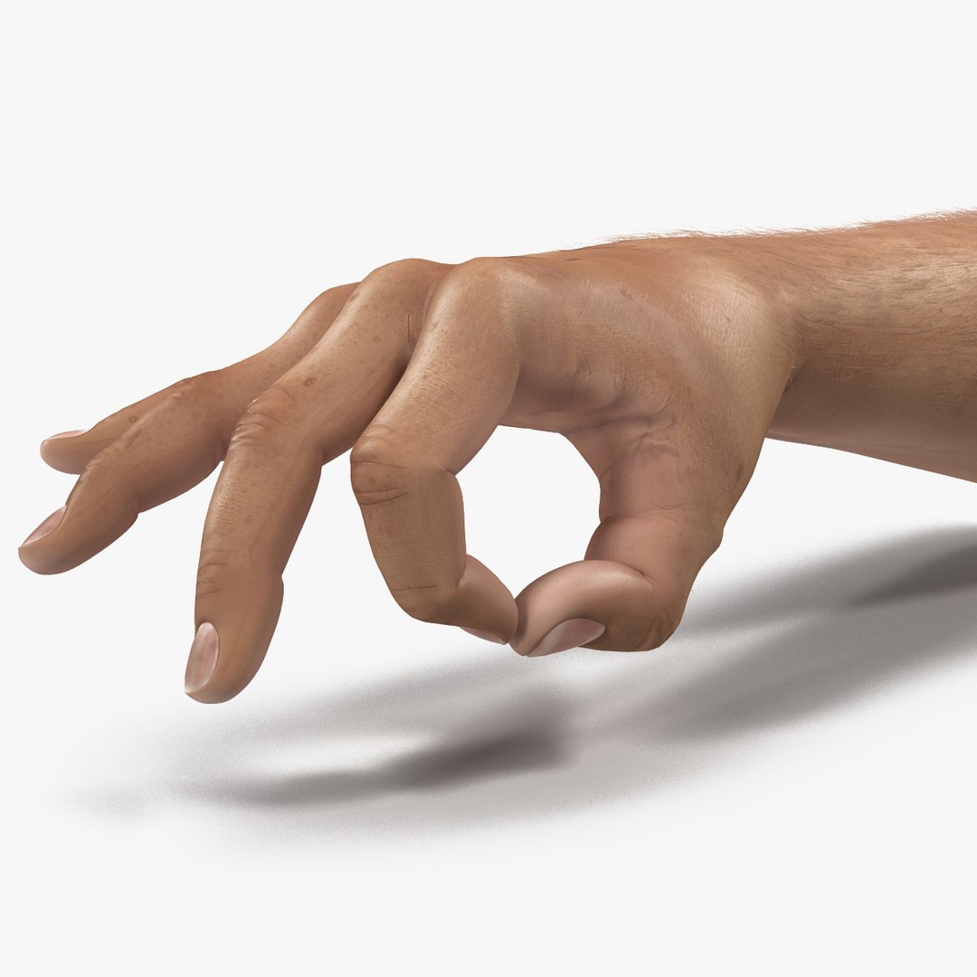 Man Hands with Fur Pose 5 3D Model 3D model preview